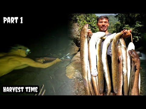 Namangha kami sa aming pagbabalik sa Lugar ng Kasili | Ang Dami nila #ytviralvideo #TGBTG