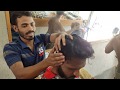 Headmassage Desimassage Indianbarber ASMR Awesome Head Massage Desi Massage Relaxation