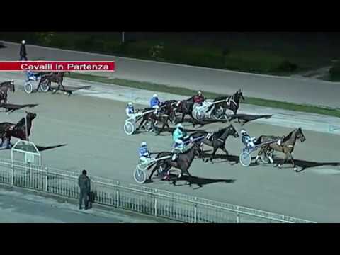 Aversa trotto 12 Febbraio 2020 - 7° Corsa