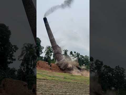 গড়তে সময় লাগে দুই মাস আর ভাঙতে সময় লাগে দুই দিন #agriculture  #reels #villagelife #amizingvideo
