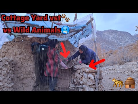 Homeless Mother Struggles to Build a Safe Yard Against Wild Animals