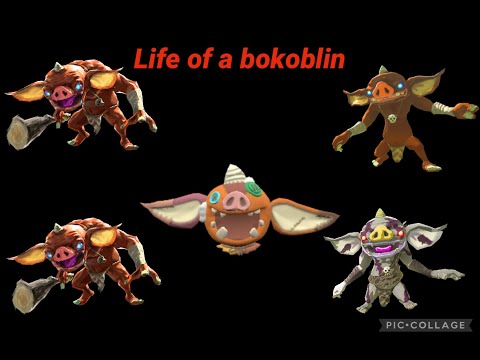 life of a bokoblin