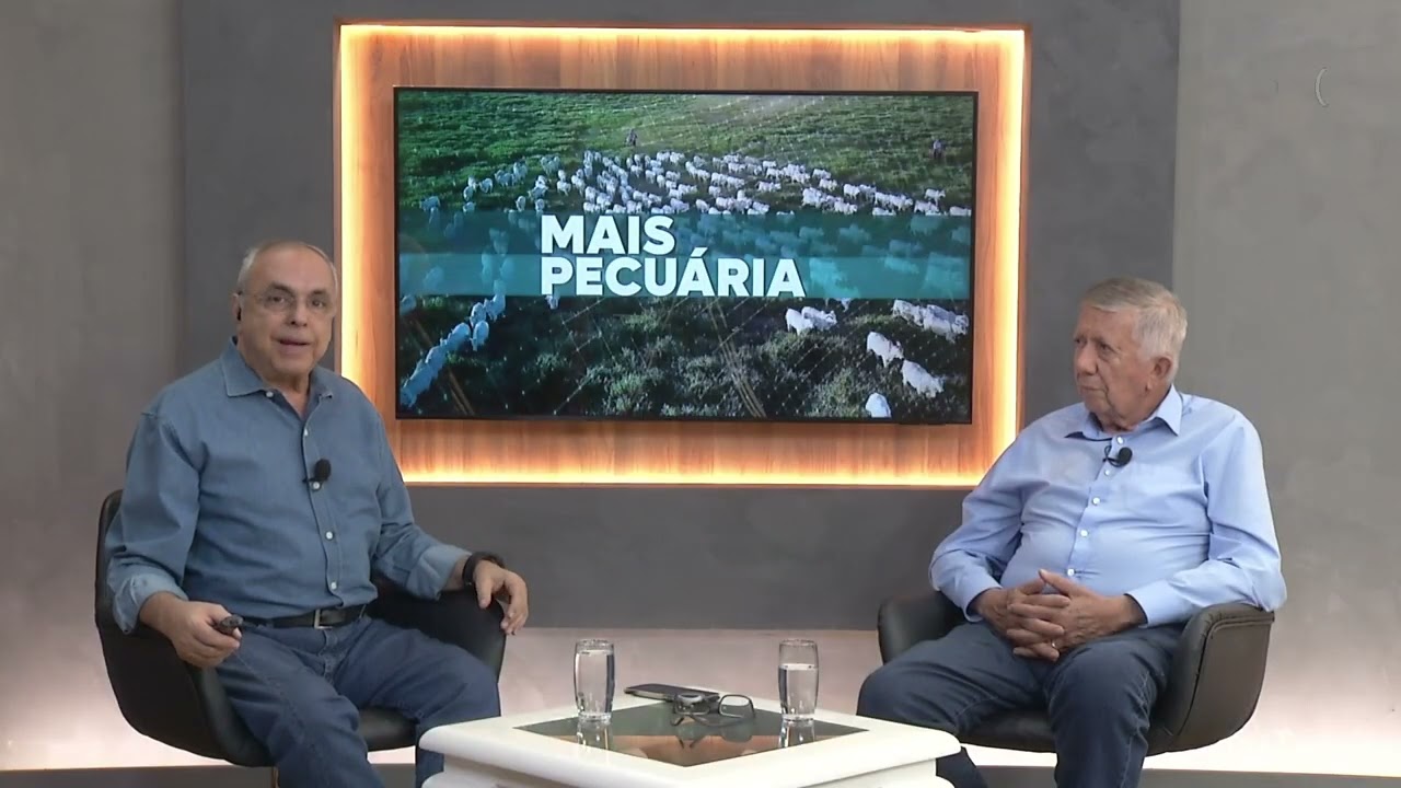 Tarifa americana amplia tensão comercial; pecuária de MT bate recorde