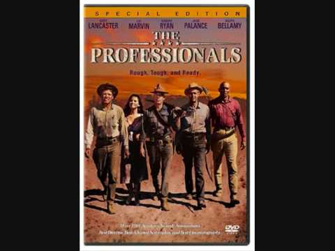 The Professionals Theme