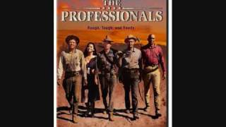 The Professionals Theme