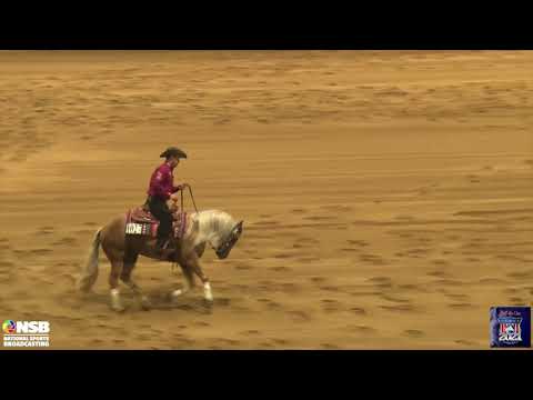 2021 Quarter Horse Congress Open Futurity Prelims Kole Price on Finals Bound