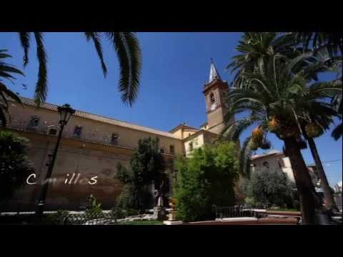 Campillos: Lakes with flamingo populations