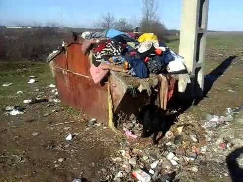 Colonia se romi din lazareni