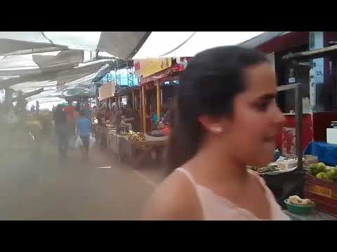 SURUBIM PERNAMBUCO  ( FEIRA LIVRE ) BRASIL 