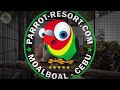 Parrot Resort, Parrot Resort Moalboal, Philippinen