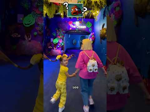 Can We Find NEMO? 🐠🔎