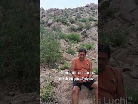 Grabado en Santa Rosa de Tastil, Campo Quijano, provincia de Salta