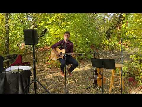 Bose S1 Pro Wireless Speakers System