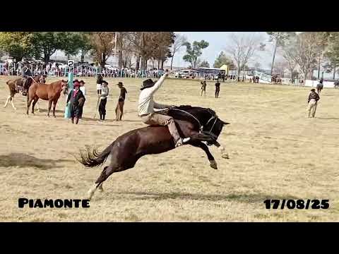 Festival de jineteada en piamonte 17/08/25