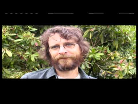 Gardenia - Stephen Malkmus and the Jicks