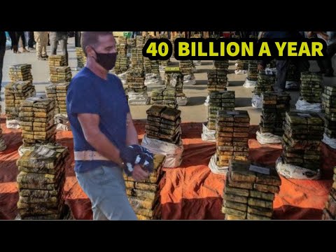 World's Most Powerful Mafia: Inside The Ndrangheta; The Rise And Fall Of Biggest Cocaine Trafficker