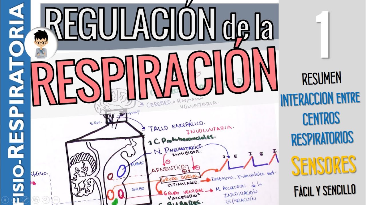 REGULACIÓN DE LA RESPIRACIÓN, Resumen, QUIMIORECEPTORES para la pO2, pCO2 |Fisiología Respiratoria|1
