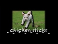 Chicken Sticks FX Productions FX 20th Century Fox Television 2009