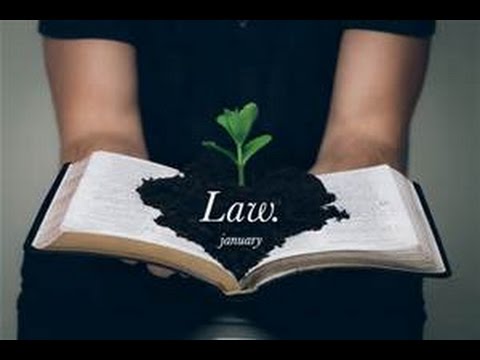 Torah Week 44 ~ Teddy Wilson ~ Seekers of Yahweh Ministries