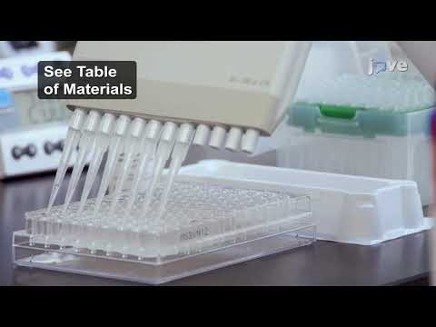 LEGENDplex™ Laboratory Protocol Video