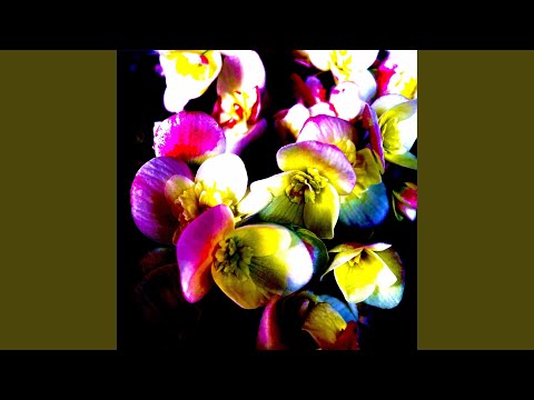 Video thumbnail for no thx 2 u!