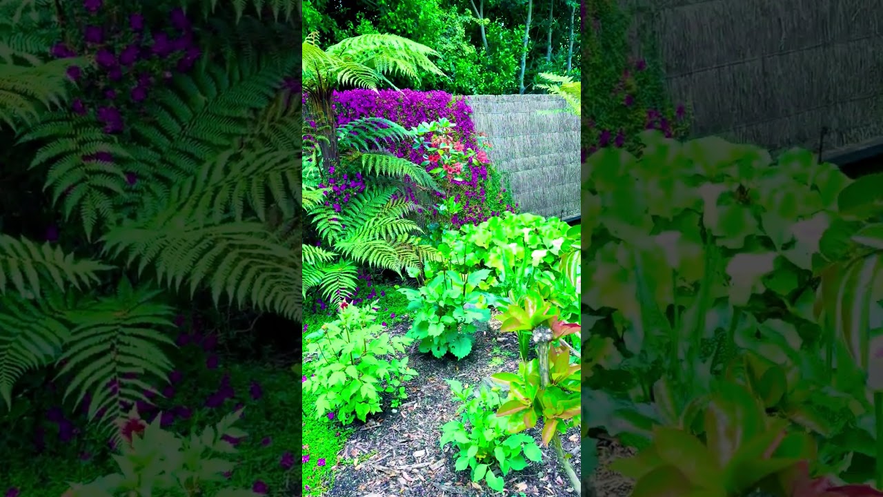 YouTube Short thumbnail