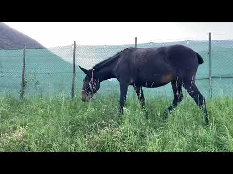 Rain knows how to make itself 🥰🥰loved😍😍 by everyone. A big THANK YOU to EVERYONE 😘😘