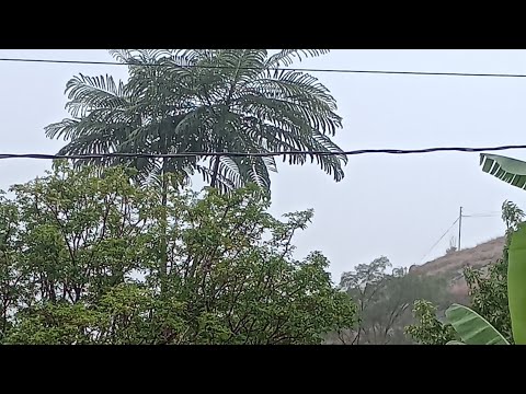 Chuva com vento em Rochedo de Minas, MG 🇧🇷🌧️💧☔⛈️