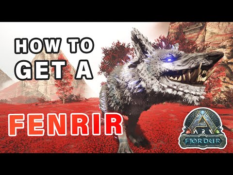 How to get a Fenrir Tame ► Ark Fjordur