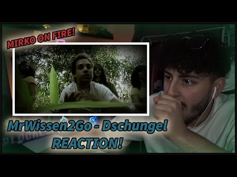 MrWissen2Go HAT MAL GERAPPT?! | MrWissen2Go (als Parka) - Dschungel | REAKTION