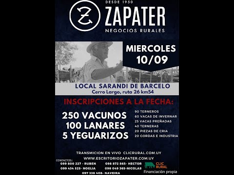 10/9/2025 Feria Mensual - Local Sarandi de Barceló -  Escritorio Zapater