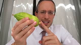 זרא שמשון (אנגלית) - 23 שמור אותו מול עיניך - הרב שמעון גובר