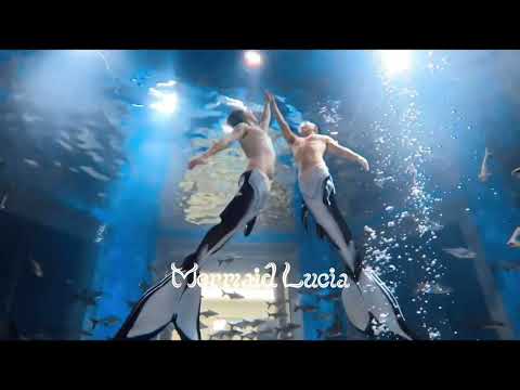 2 Merman Orca Dance Underwater