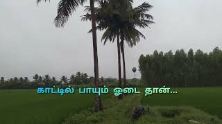 Download lagu Oru pattu un Manasa ilukutha whatsapp status song mp3