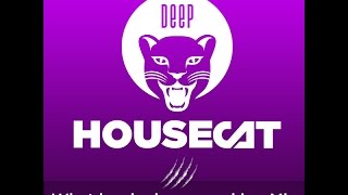 Download lagu Deep House Cat Show - What has he been smoking Mix - feat. DJ Danial mp3