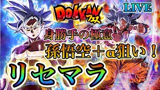 ドッカンバトル Lr 身勝手 悟空 キラベジータ狙い 狙い出るまでリセマラやっていきます 概要欄見てください أفضل موقع لتشغيل ملفات Mp3 مجان ا