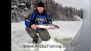 preview picture of video 'Ice fishing salmon on River Luleå (Isfiske efter lax på Luleälven)'