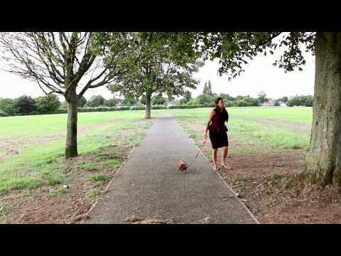 Leo (Golden Child) - All About You | ZAB ZAB