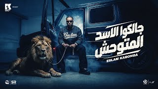 كلمات اغنية جالكوا الاسد المتوحش اسلام كابونجا