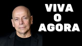 Leandro Karnal -  viva o agora