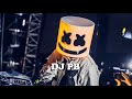 Marshmello Intro Something Wicked 2017