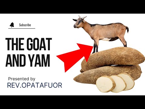 OPATAFUOR  {THE GOAT AND THE YAM}
