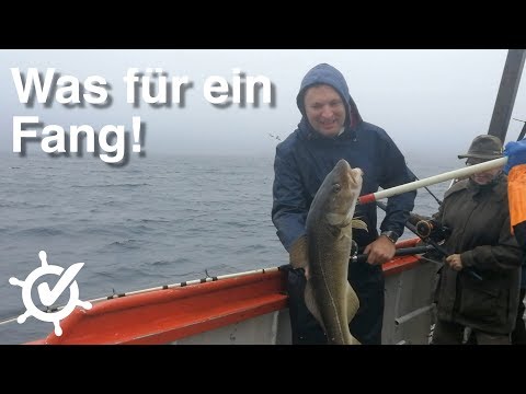 Was für ein Fang! Angeln auf den Lofoten - Vlog #5 - MS Europa (2018), Norwegenkreuzfahrt