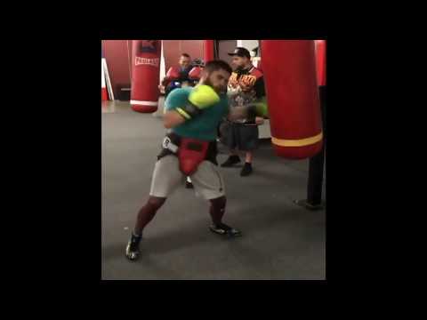 Дмитрий Митрофанов ( Dmytro Mytrofanov ) - подготовка к поединку 2018-01-13