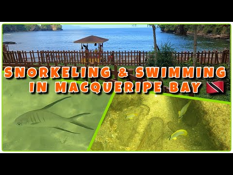 SWIM & SNORKELING AT MACQUERIPE BAY | POWER WASHING AT CHAGUARAMAS MUSEUM