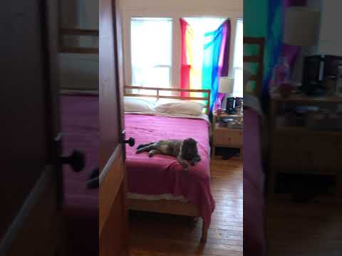 3343 15th Ave S - Video 2 of 2