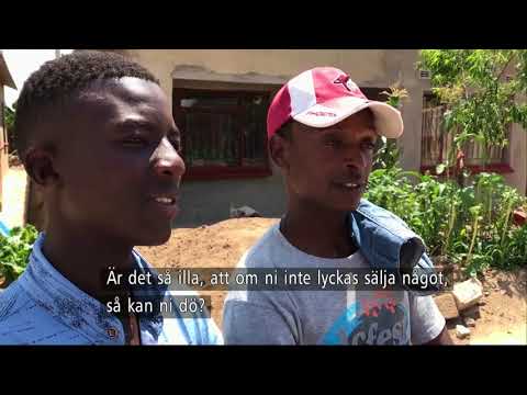 ”Försöker sälja vad som helst för att få mat” - Nyheterna (TV4)