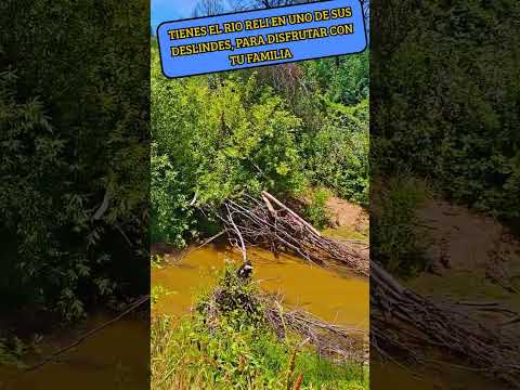 PARCELA CON RIO, SECTOR RURAL DE SANTA JUANA , REGION DEL BIOBIO