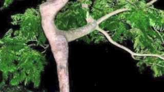 Episode 20 Once You're Into Music There's No Way Out