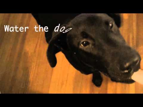 How to Start Your Day